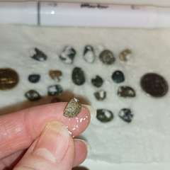 Фото отзыва 11090186