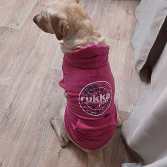 Толстовка для собак RUKKA PETS 50 Розовый 460601241J63050: отзыв пользователя. Зоомагазин Зоозавр