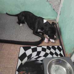 Фото отзыва 8821366