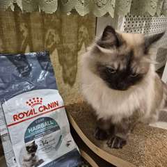 Фото отзыва 10721831