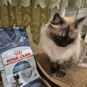 Корм сухой для кошек ROYAL CANIN Hairball Care 400г для профилактики образования волосяных комочков в желудочно-кишечном тракте: отзыв пользователя. Зоомагазин Зоозавр