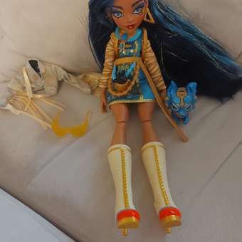 Кукла модельная Monster High Cleo de Nile: отзыв пользователя ДетМир