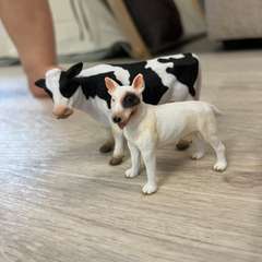 Фото отзыва 10788010