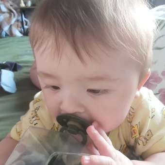 Пустышка BIBS латекс классическая от 6 мес.: отзыв пользователя Детский Мир