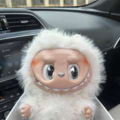 Фото отзыва 10437048