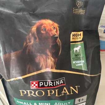 Корм сухой для собак PRO PLAN SENSITIVE DIGESTION 3 кг с ягненком для мелких пород: отзыв пользователя. Зоомагазин Зоозавр