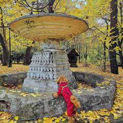 Фото отзыва 10567190