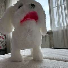 Фото отзыва 10758150