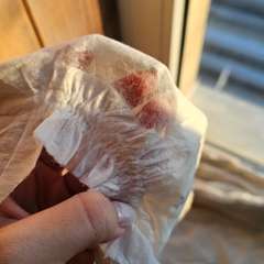 Фото отзыва 10862839