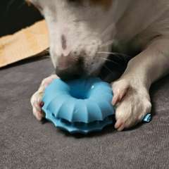 Фото отзыва 10499100