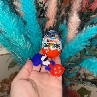 Яйцо шоколадное Kinder Сюрприз лицензия 20г: отзыв пользователя ДетМир