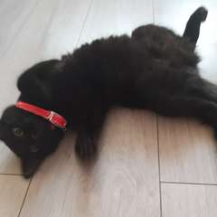 Фото отзыва 10451219