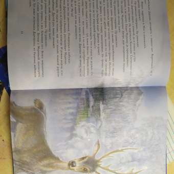 Книга АСТ Серебряное копытце Сказы: отзыв пользователя Детский Мир