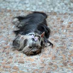 Фото отзыва 11266759