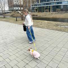 Фото отзыва 11260503