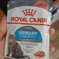 Фото отзыва 10491309