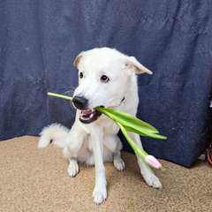 Фото отзыва 11134557