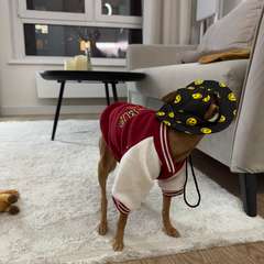 Фото отзыва 11211747