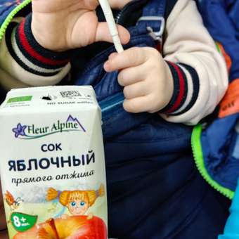 Сок Fleur Alpine Яблоко с 8 мес 0.2 л: отзыв пользователя ДетМир