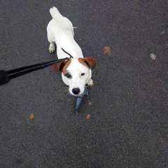 Фото отзыва 10553958