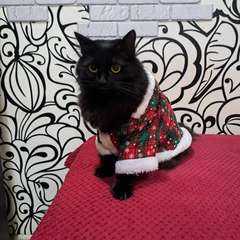 Фото отзыва 10892835