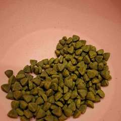 Фото отзыва 10899062