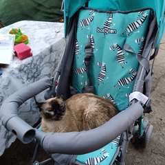 Фото отзыва 10559966