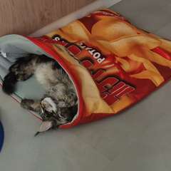 Фото отзыва 11116581