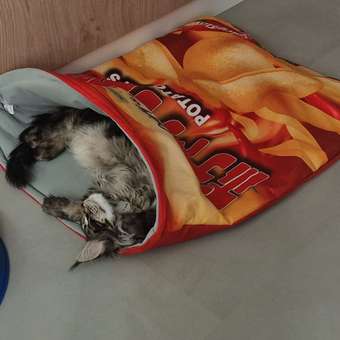 Туннель для кошек Barbaks Большие чипсы 55*70см: отзыв пользователя. Зоомагазин Зоозавр