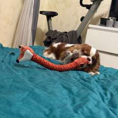 Фото отзыва 11125570