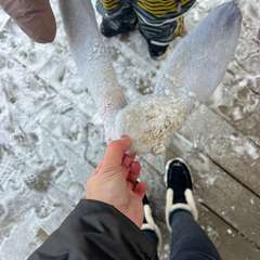 Фото отзыва 10652984