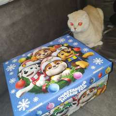 Фото отзыва 10830592