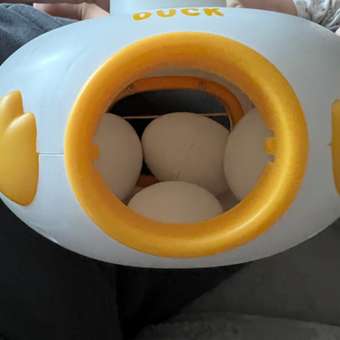 Игрушка BabyGo пирамидка Уточка: отзыв пользователя ДетМир