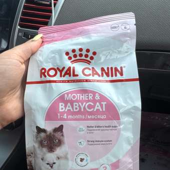 Корм для котят Royal Canin Mother and Babycat 400г: отзыв пользователя. Зоомагазин Зоозавр