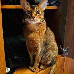 Фото отзыва 10778451