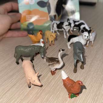 Игровой набор TrendToys домашние животные 12шт: отзыв пользователя Детский Мир