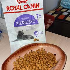 Фото отзыва 10475569