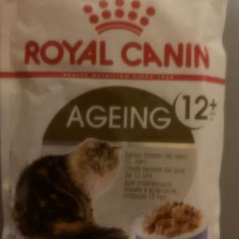 Корм для кошек ROYAL CANIN Ageing 85гр для пожилых 12+ желе пауч: отзыв пользователя. Зоомагазин Зоозавр