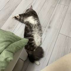 Фото отзыва 10954924