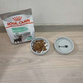 Корм для собак ROYAL CANIN Mini Digestive Care мелких пород с чувствительным пищеварением 1кг: отзыв пользователя. Зоомагазин Зоозавр