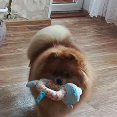 Фото отзыва 10615926