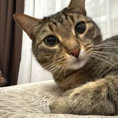 Фото отзыва 10717946