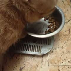 Фото отзыва 10609188