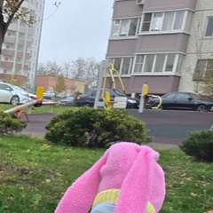 Фото отзыва 10617693