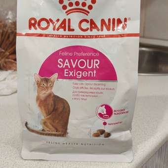 Корм сухой для кошек ROYAL CANIN Exigent Savour 400г привередливых к вкусу продукта: отзыв пользователя. Зоомагазин Зоозавр