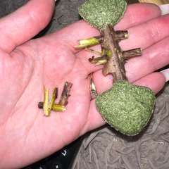 Фото отзыва 10632270