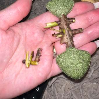 Игрушка для кошек Barbaks Мятная кость из кошачьей мяты и палочек мататаби 2.5*12см: отзыв пользователя. Зоомагазин Зоозавр