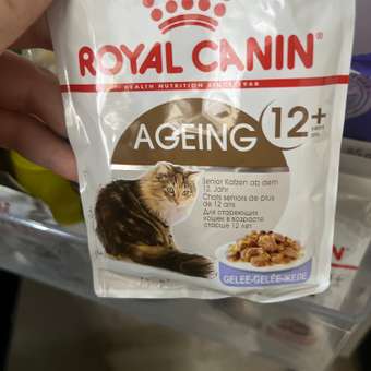 Корм для кошек ROYAL CANIN Ageing 85гр для пожилых 12+ желе пауч: отзыв пользователя. Зоомагазин Зоозавр