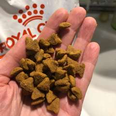 Фото отзыва 10943720