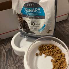 Фото отзыва 10579821